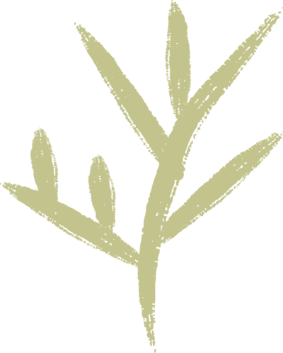Simple hand drawn green foliage illustration