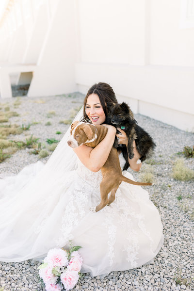 Beautiful bride with her pups on the wedding day. Photo by Amy Simkus Photography