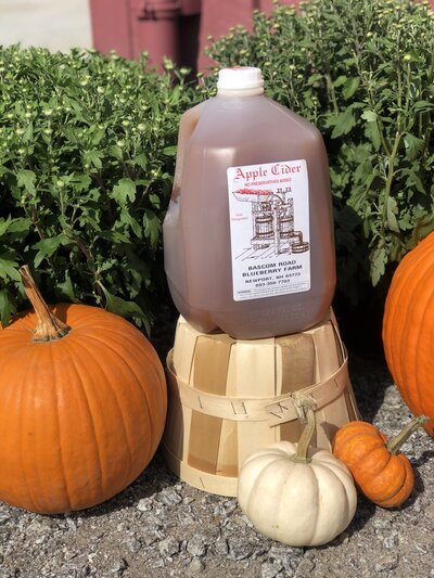 apple cider and pick your own pumpkins at Bascom Road Farm