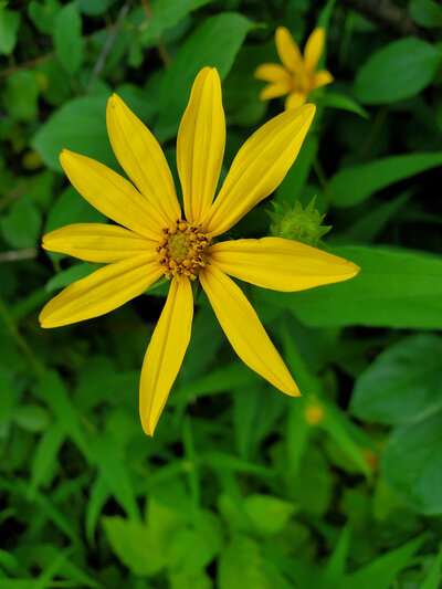 Jen Burghart Reiki 0010722_074229