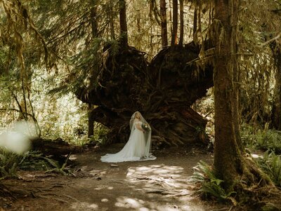 Secluded forest elopement in PNW