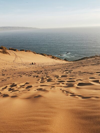 beach grass dunes sunlight calm 