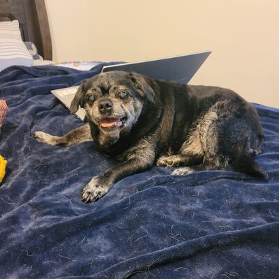 532535275_1185493313619650_127093084882234293_n