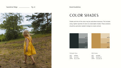 life coach website primary colors
