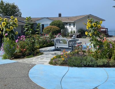 Garden view with fountain