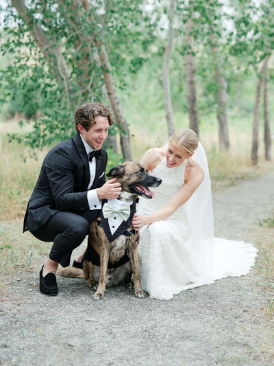 Bride and groom shower their dog with love during first look at colorado luxury wedding