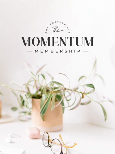 Momentum Logo - Online Marketing Expert