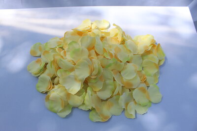 yellow flowers for rent