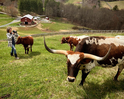 woman and cows on farm