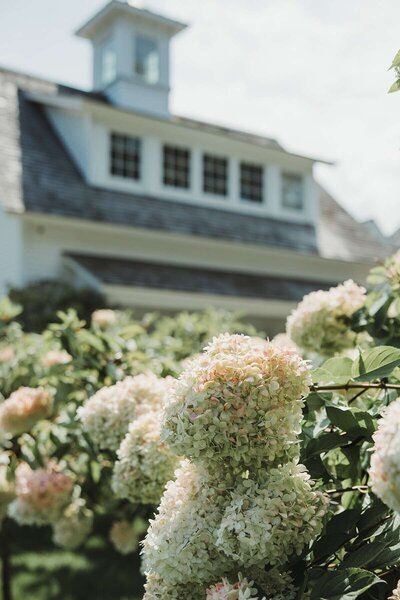 Fairfield County wedding photographers capture artistic view of venue and hydrangeas