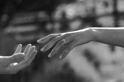 Christchurch engagement photographer