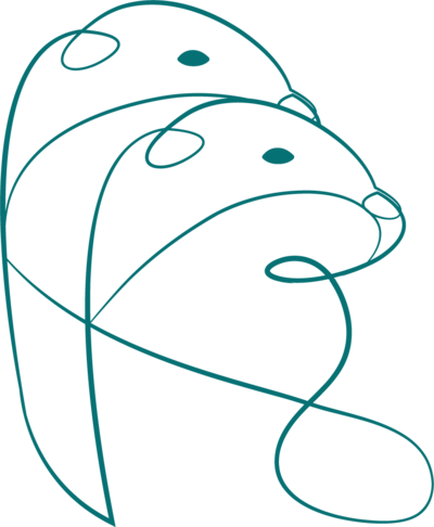 Illustration of otter for K.S.Otter Events submark logo
