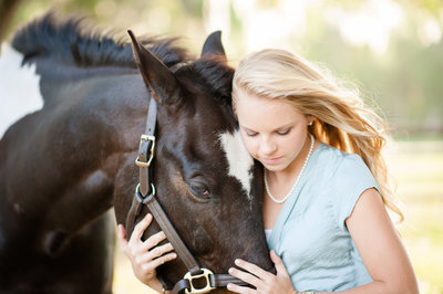 Horse Equine Equestrian Portraits Daytona