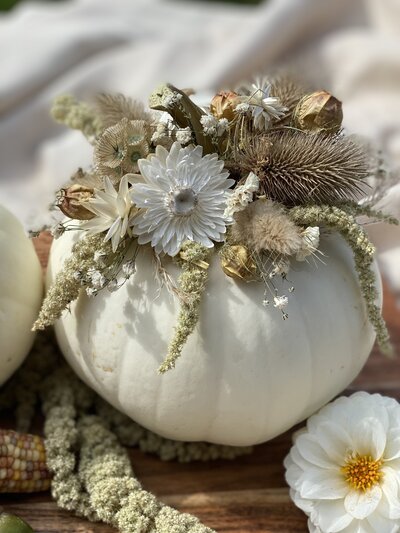 BKC4U BOHO White small pumpkin with dried flowers