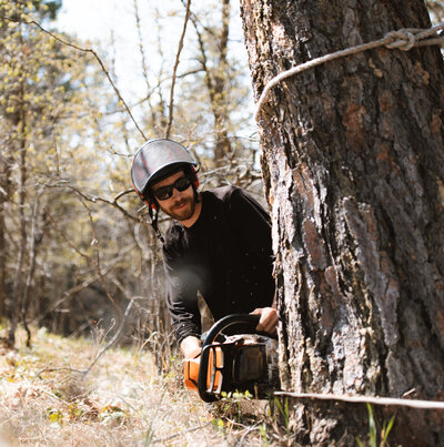 Eco-Friendly Pest & Disease Treatment Arborist, Black Hills, SD