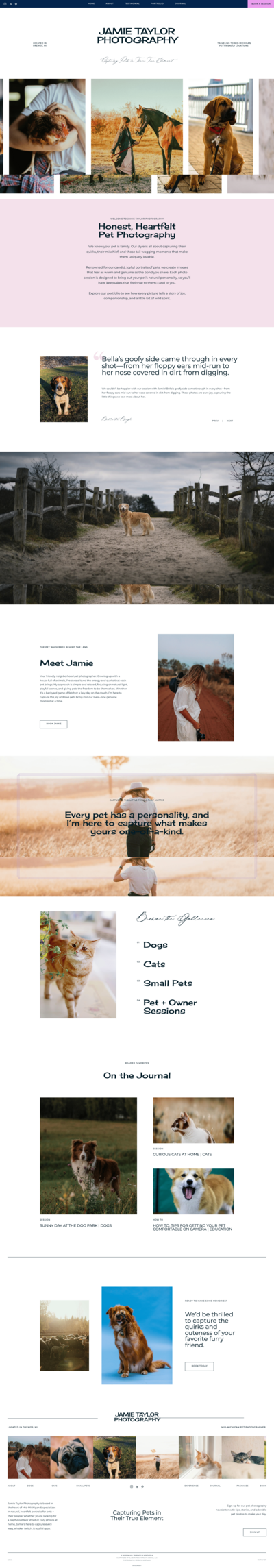 Reverence Health branding in stylized grid with tree of life and logo