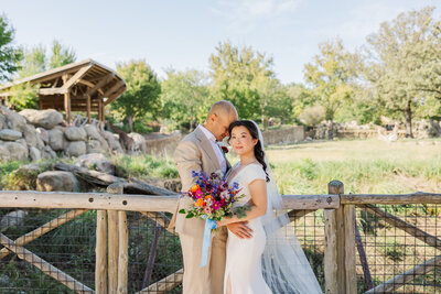 Inclusive, asian and south-asian wedding photography in Omaha. Omaha zoo wedding photography with giraffes behind the bride and groom taken by Claire Katan.