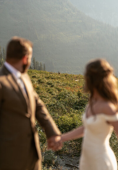 A bride and groom hold hands and look toward a distant deer in a mountain meadow during their Glacier National Park elopement, captured by Sydney Breann Photography in soft golden light.