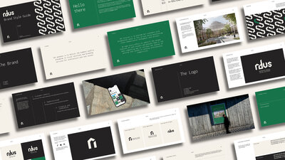 Mockup of a Brand Style Guide for the brand r.d.v.s.