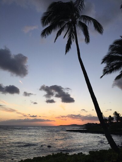 Palm trees, and a Hawaiian sunset.