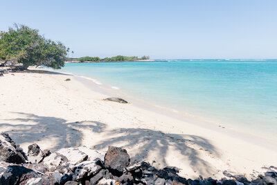 Big Island of Hawaii Secluded White Sand Beach with monk seal