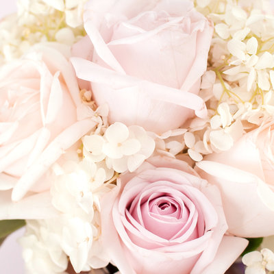 haute-stock-photography-pink-chic-final-35