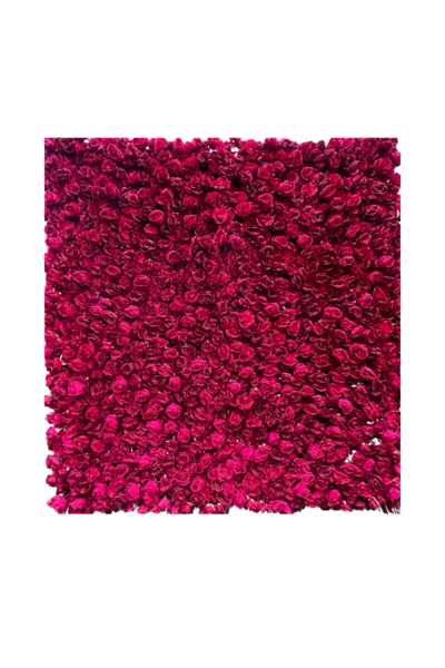 A red flower wall backdrop prop by Loononna, Orlando, FL