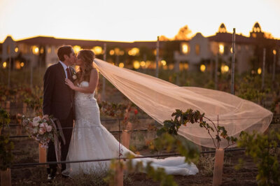 A bride and groom share a romantic kiss at sunset, with a flowing veil and floral bouquet setting the perfect vineyard wedding scene.