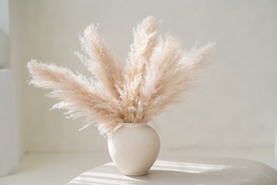 váza se sušenými travinami