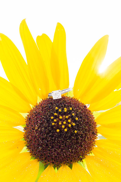 Purple and white orchids in bridal bouquets