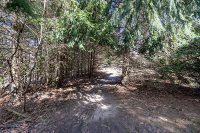 24 Worthington ravine (1)