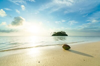 photo de l'océan avec une petite île en face, vue de la plage, noix de coco posé sur la plage