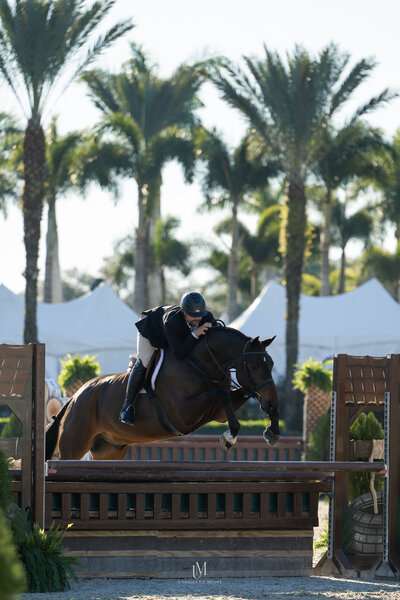 Unbridled MediaAAM_8645