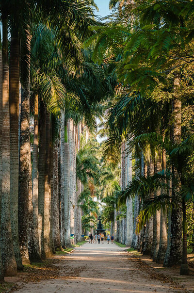 Luxury Travel Experiences
