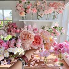 Garden roses flourish year round in the mild climate of coastal California.