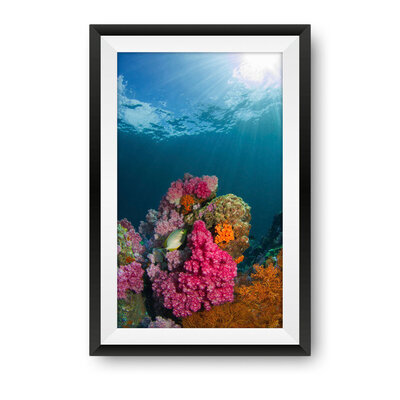 SEALIFE_01
