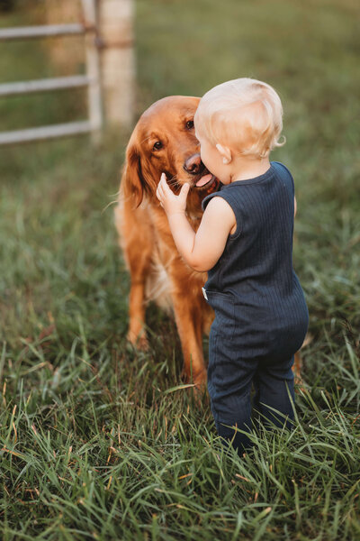 A curious toddler and a relaxed dog peek over the edge of a sofa, watching over a newborn baby, masterfully captured by a Harrisburg newborn photographer, swaddled in a red blanket resting on