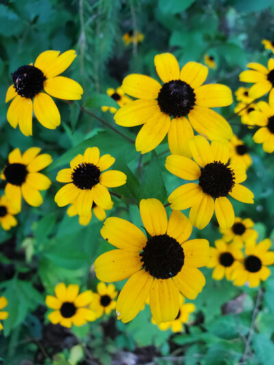 Jen Burghart Reiki 0020901_074310