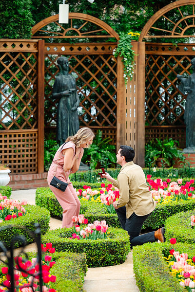 broderie room phipps conservatory surprise proposal