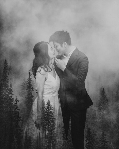 Couple sharing a kiss in the trees