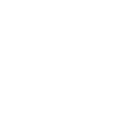 flower16
