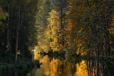 DSC02816-Edit