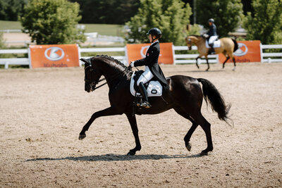 a black grand prix dressage horse and rider warming up to compete at Caledon Dressage Festival captured by a equine private client photographer in ontario