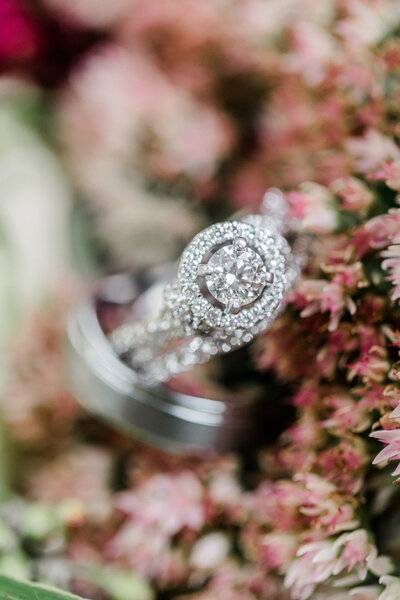 chris_courtney_wed-1017