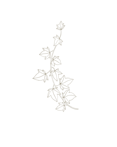 botanical leaves