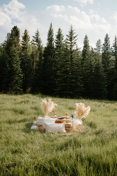 boho romantic picnic tablescape