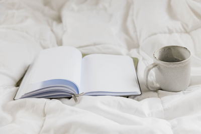 Vivre de l'écriture formation de la Plume Académie,, biographie, écriture, écrire un livre
