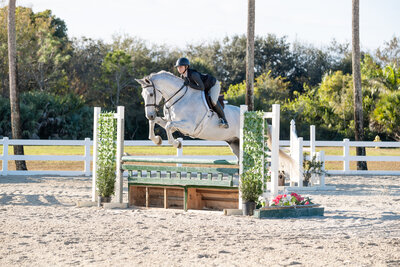 girl jumping a white horse over a green jump