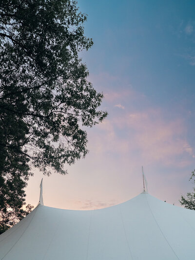 Kathrine+ClaytonWeddingSneak_Magda+Simon2025-59