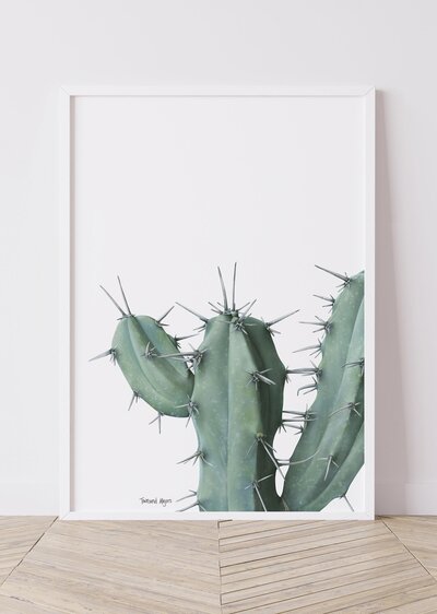 Townsend's blue myrtle cactus art print